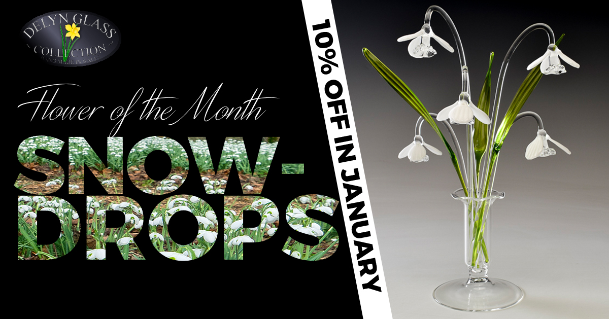 10% Off Snowdrops throughout November & December